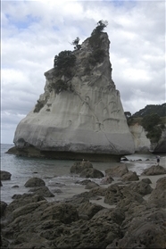 Cathedral Cove